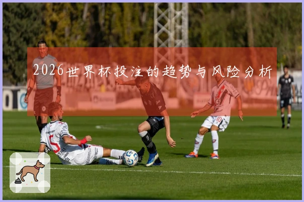2026世界杯投注的趋势与风险分析