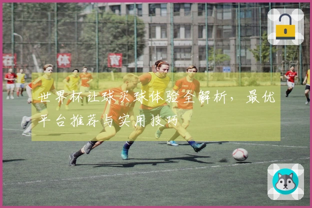 世界杯让球买球体验全解析，最优平台推荐与实用技巧